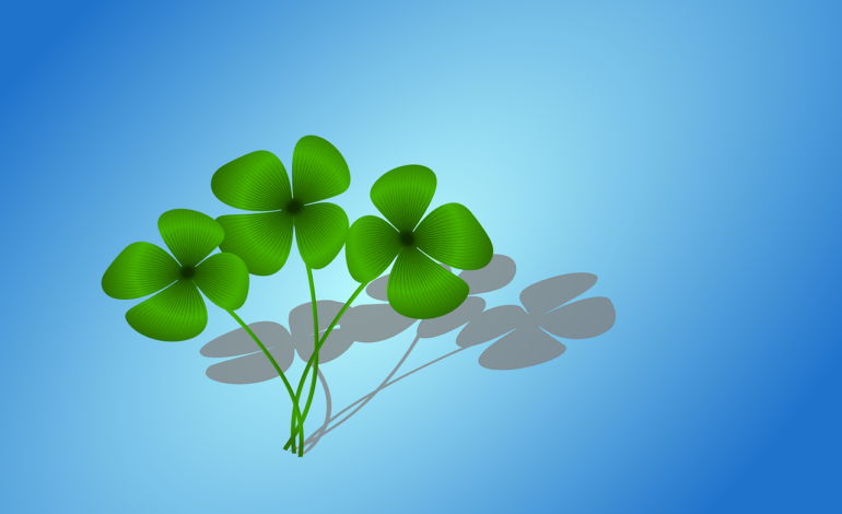 clover, happiness, nature, lucky charm, sylvester, new year's day, new year, turn of the year, eve, vierblättrig, four, leaves, plant, clover, happiness, new year, new year, new year, new year, new year