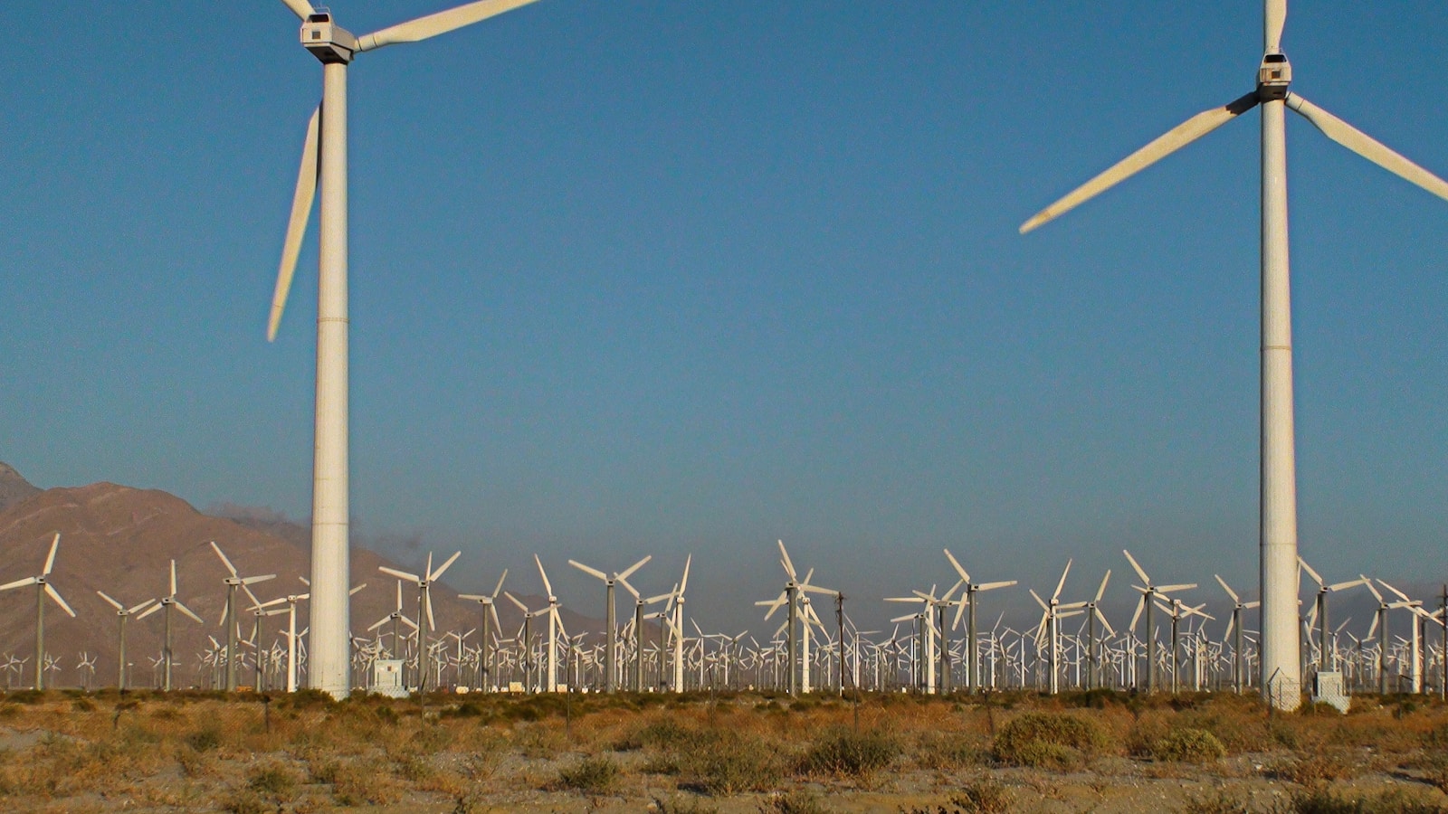 „Tebbel“ revolutioniert Windparkbau: Start-up bringt innovative Datenanalyse-Technologie für effizientere Planung